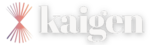 kaigen.com.br
